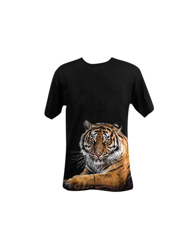 Hot Sale Heat Transfer Sheet Press Vinyl for T-shirt